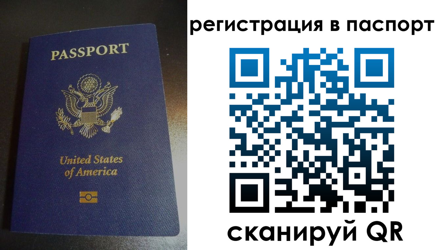 прописка для школы в Коле